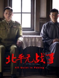 电视剧：《北平无战事》(2014)