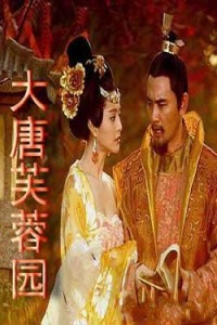 电视剧：《大唐芙蓉园》(2007)