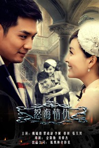 电视剧：《怒海情仇》(2013)