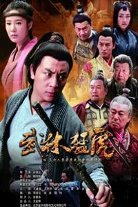 电视剧：《武林猛虎》(2012)